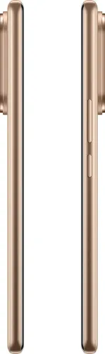 Vivo V60 (16GB RAM + 512GB)