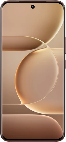 Vivo S2 8GB RAM, 256GB
