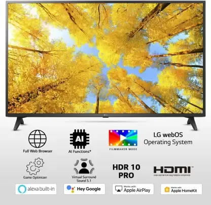 LG 65UQ7500PSF 65 Inches 4K LED Smart WebOS TV